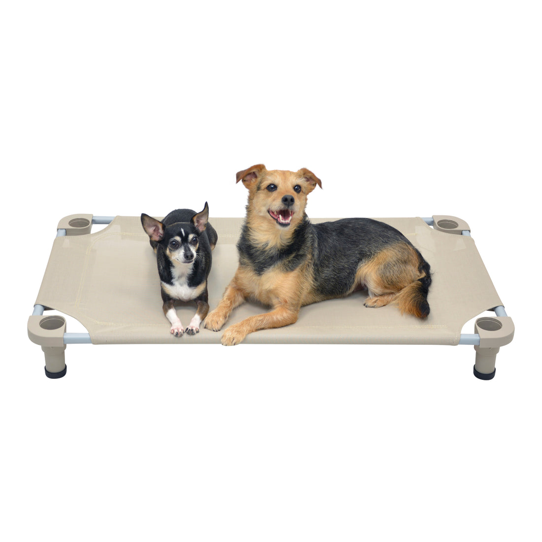 Pros and Cons of Elevated Customized Dog Cots