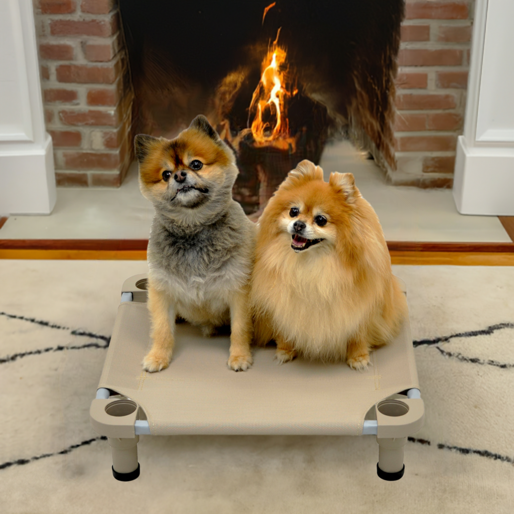 4Legs4Pets 22 X 22 in. Customized Dog Cot