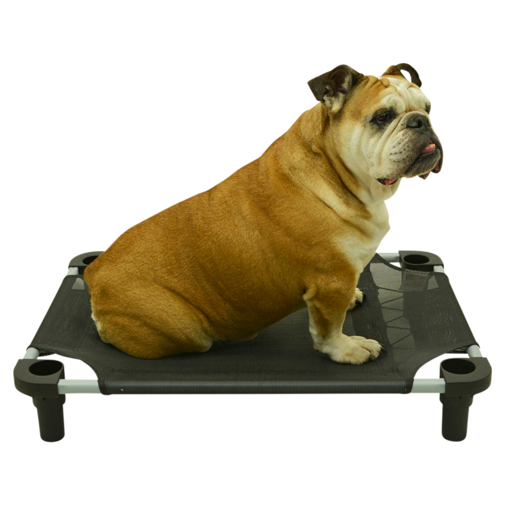 4Legs4Pets 30” x 22”Customized Dog Cot