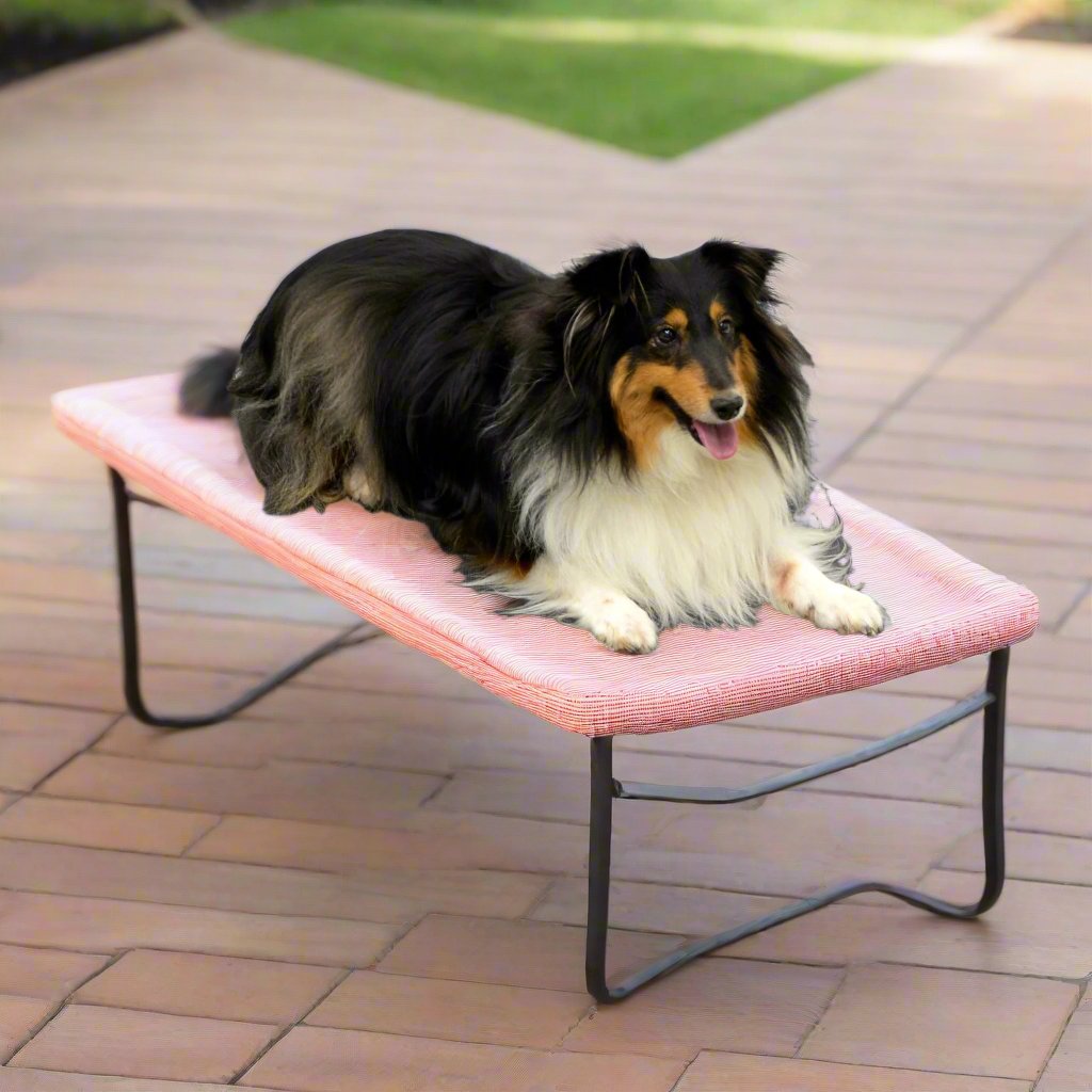 4Legs4Pets 30" X 30"Customized Dog Cot