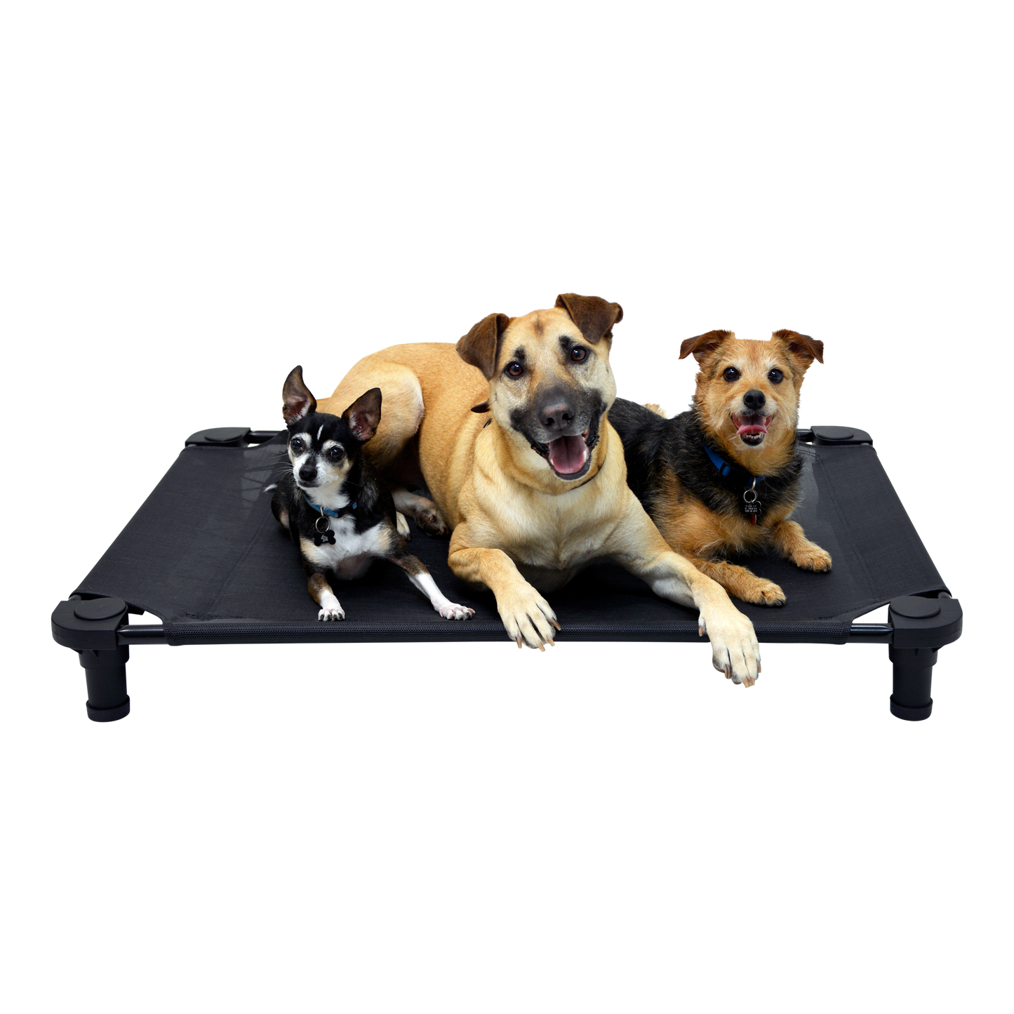 4Legs4Pets 40" X 30"Customized Dog Cot