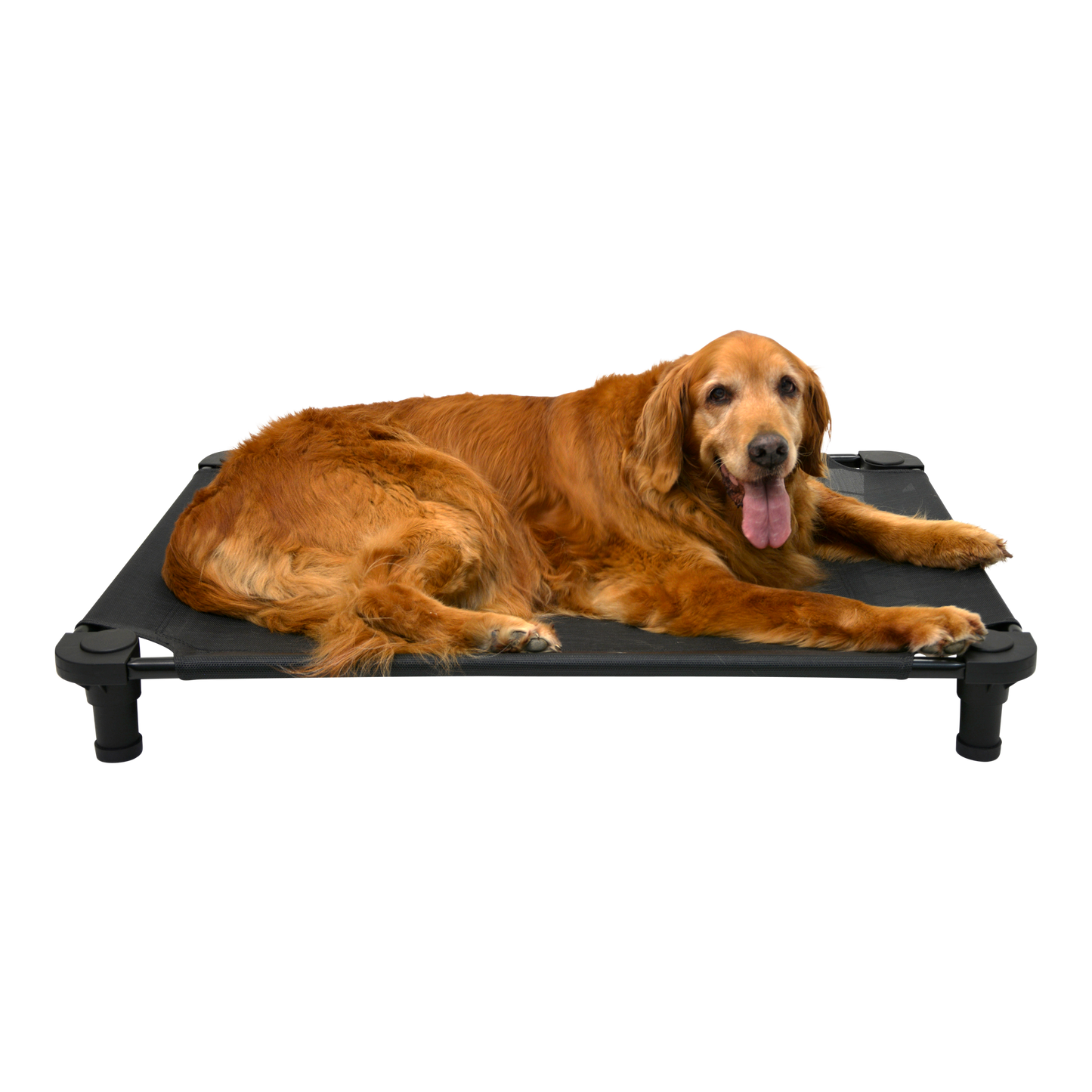 4Legs4Pets 40" X 30"Customized Dog Cot