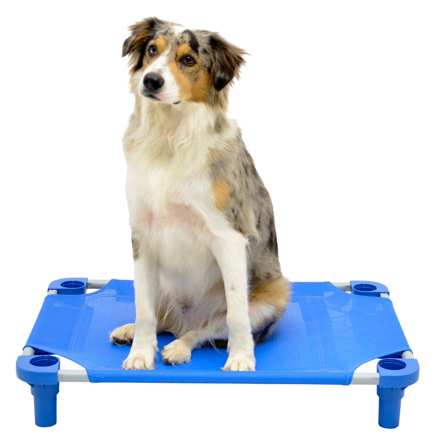 4Legs4Pets 30” x 22”Customized Dog Cot