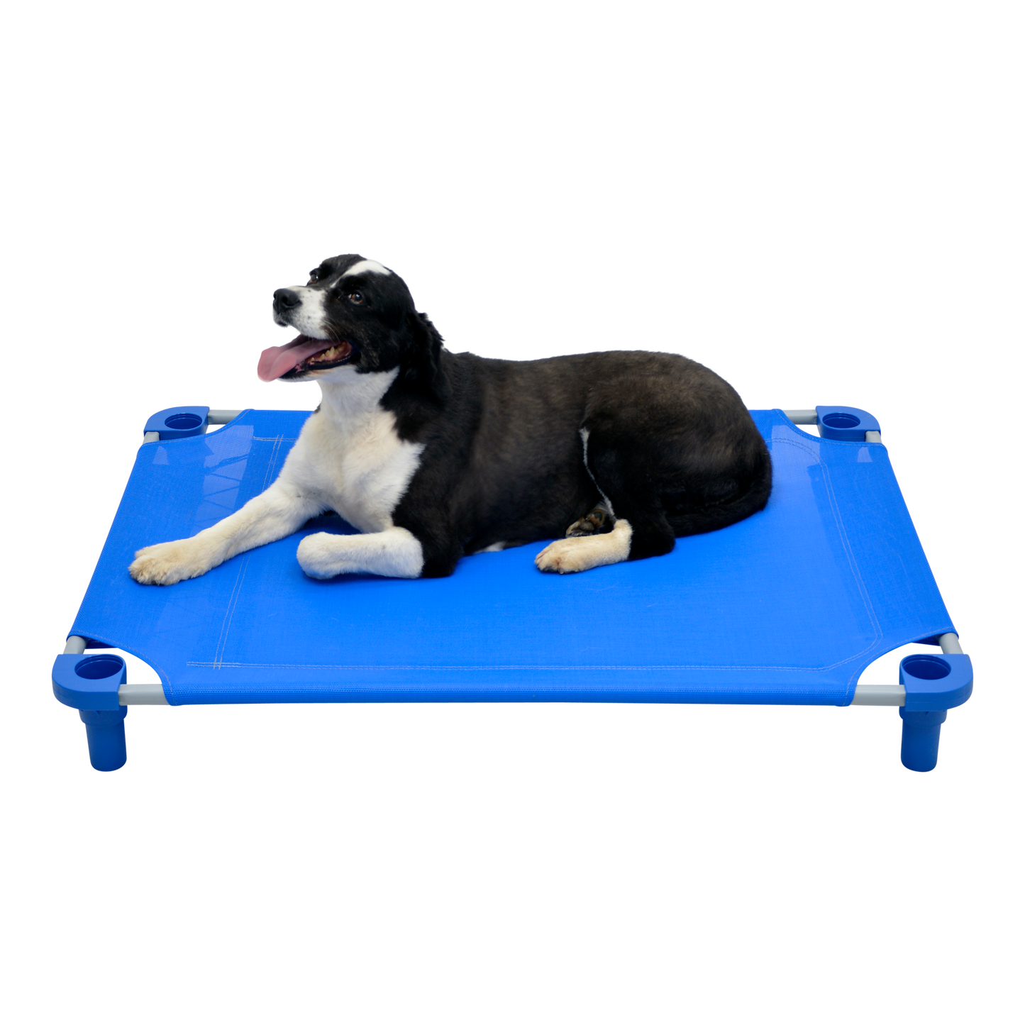 4Legs4Pets 40" X 30"Customized Dog Cot