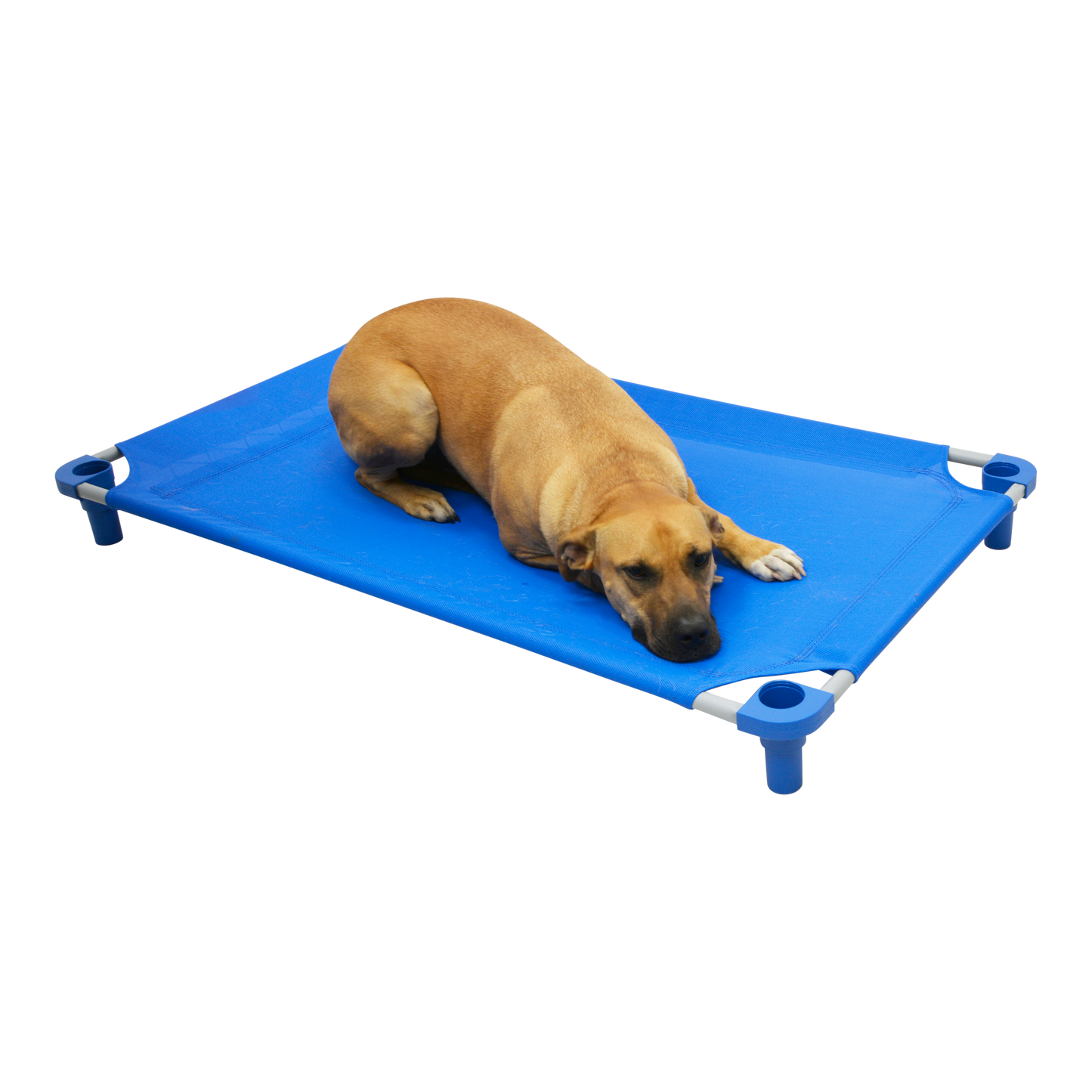 4Legs4Pets 52" X 30"Customized Dog Cot