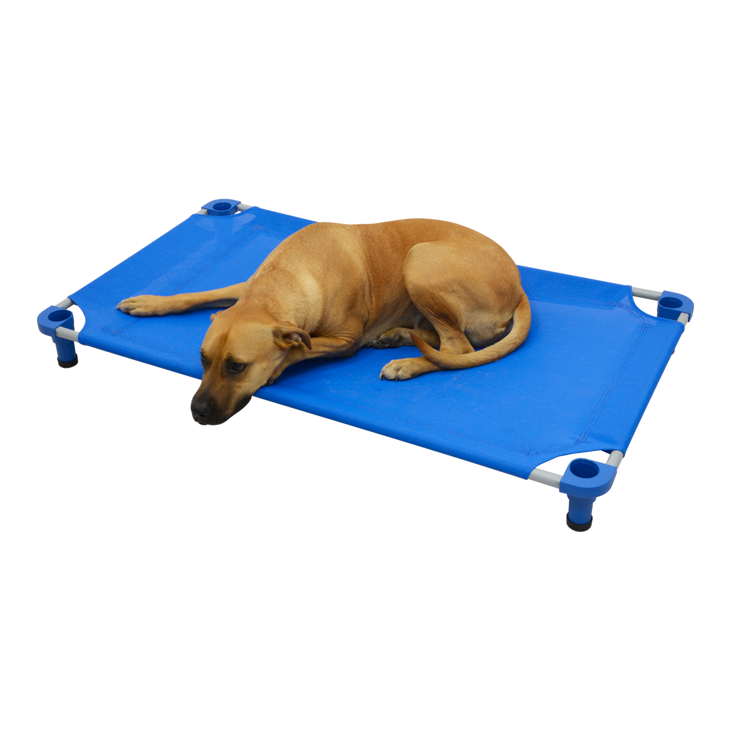 4Legs4Pets 52" X 30"Customized Dog Cot