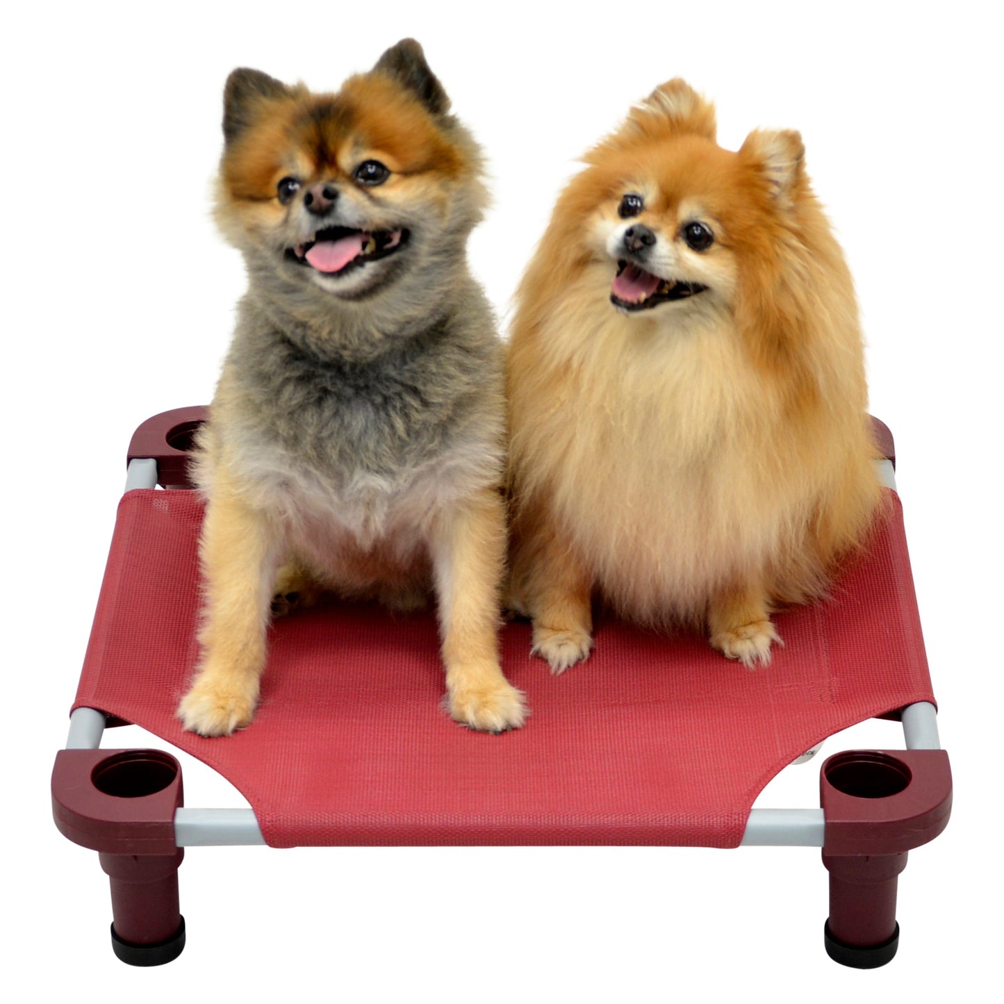 4Legs4Pets Customized Dog Cots 22" x 22"