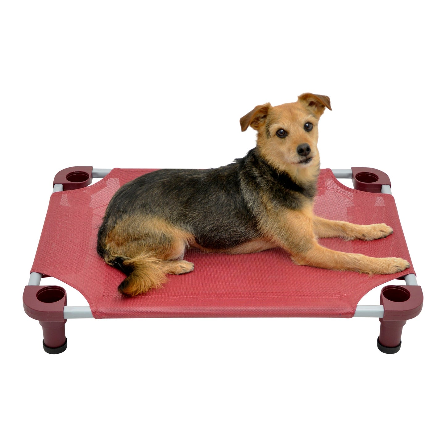 4Legs4Pets 30” x 22”Customized Dog Cot