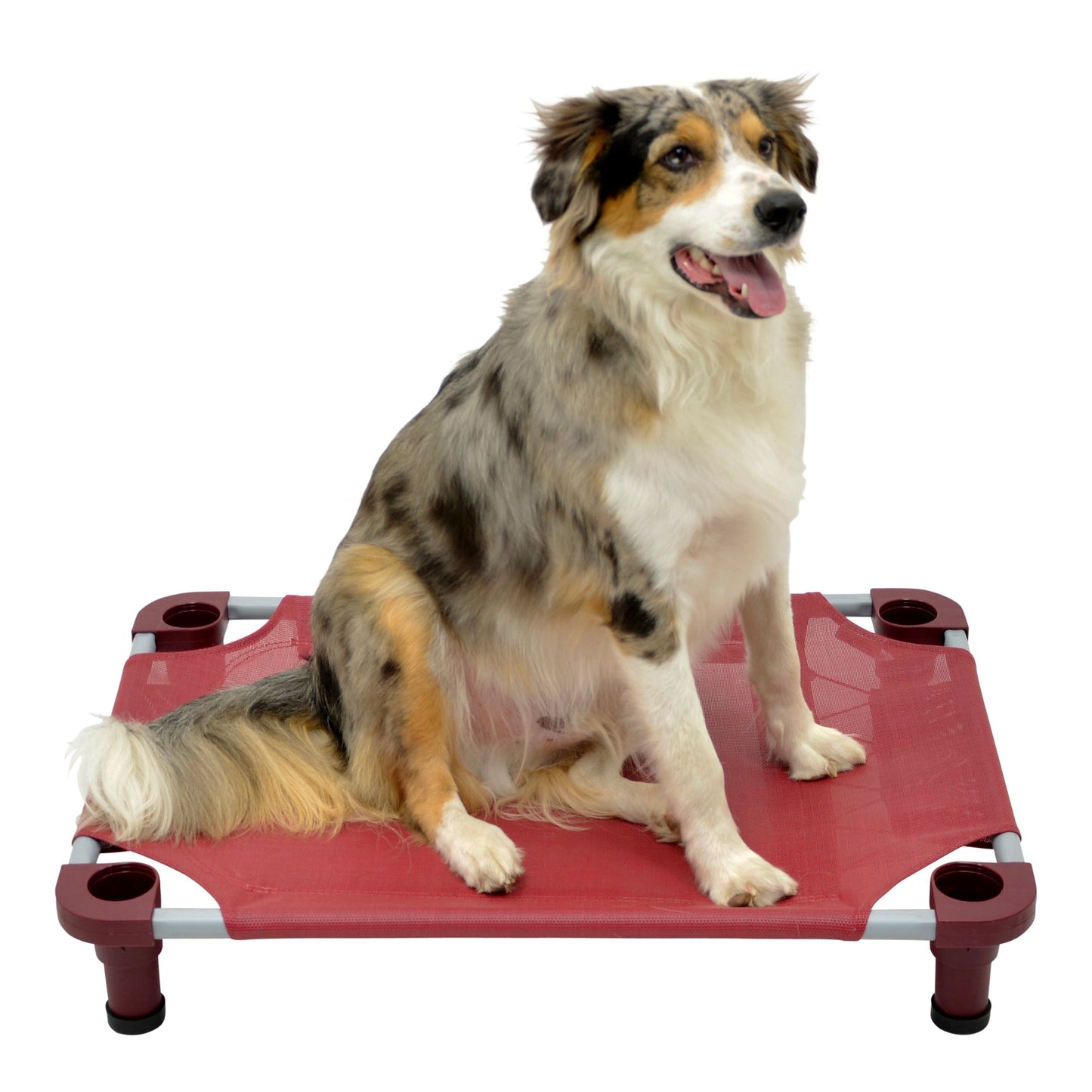 4Legs4Pets 30” x 22”Customized Dog Cot