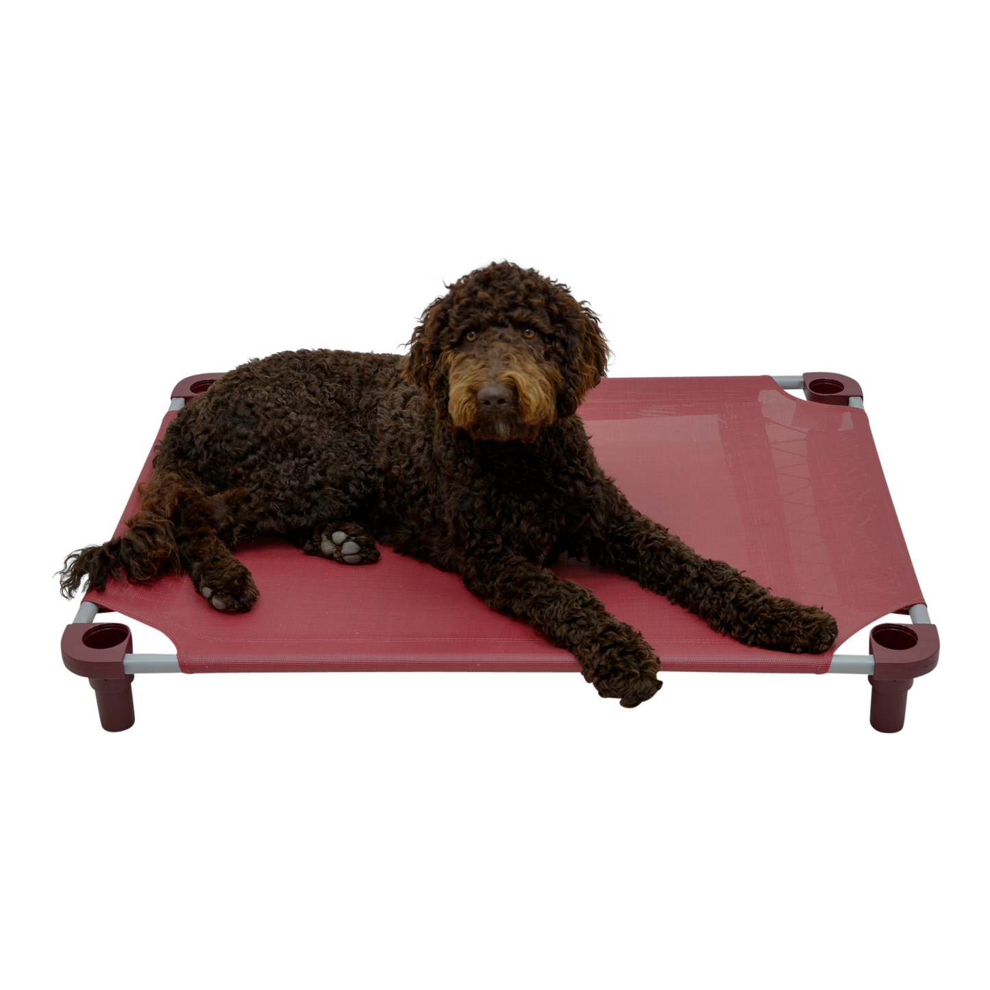 4Legs4Pets 40" X 30"Customized Dog Cot