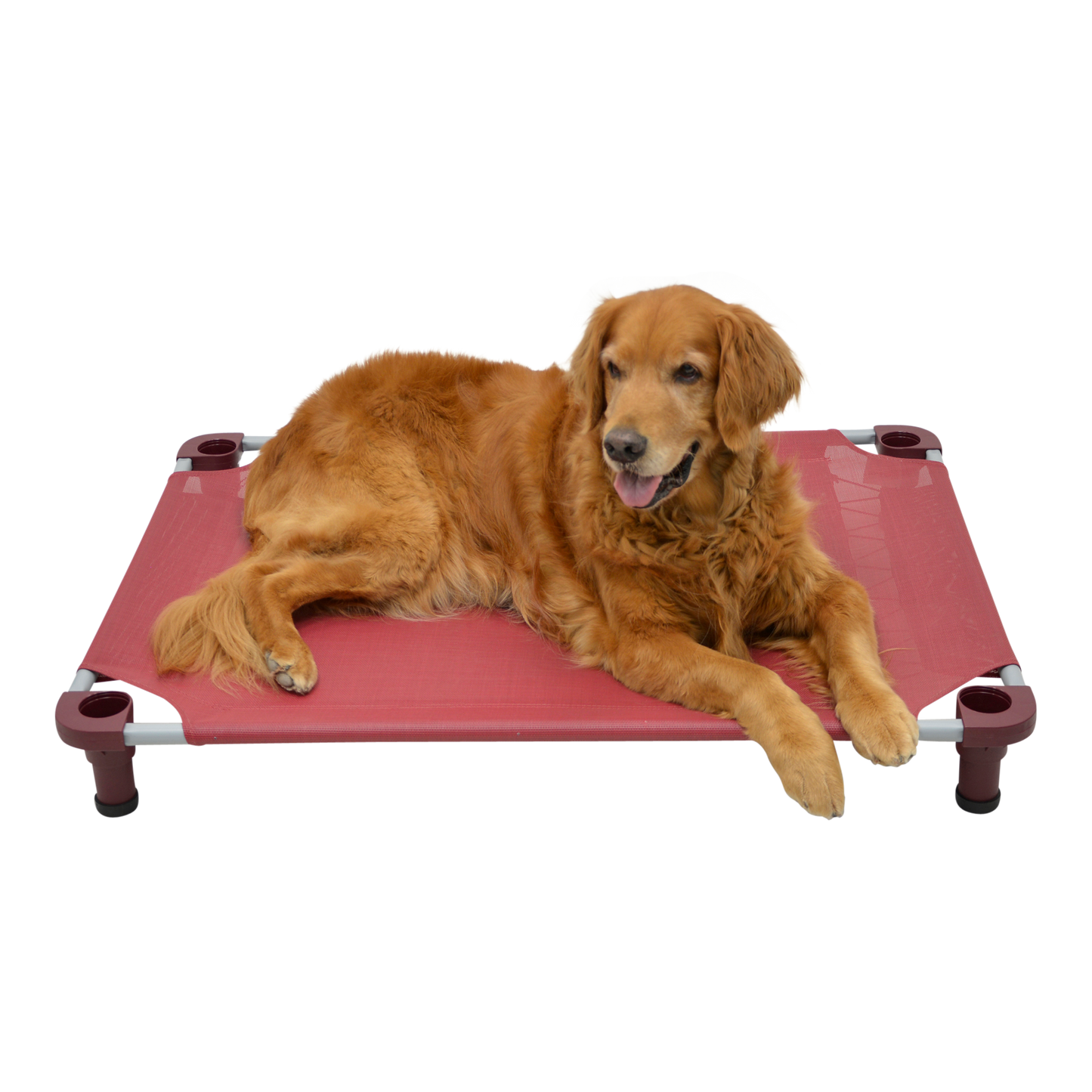 4Legs4Pets 40" X 30"Customized Dog Cot