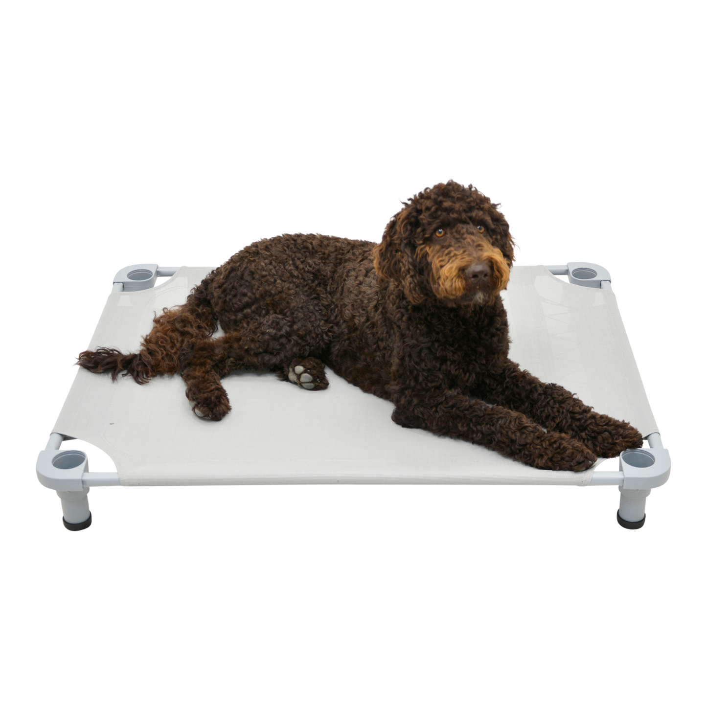 4Legs4Pets 40" X 30"Customized Dog Cot