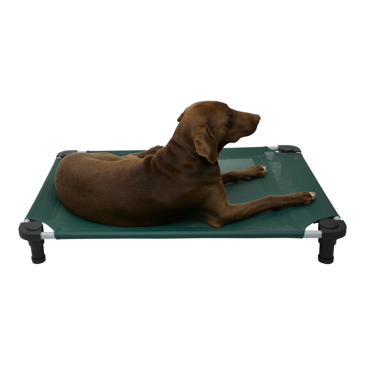 4Legs4Pets 40" X 30"Customized Dog Cot
