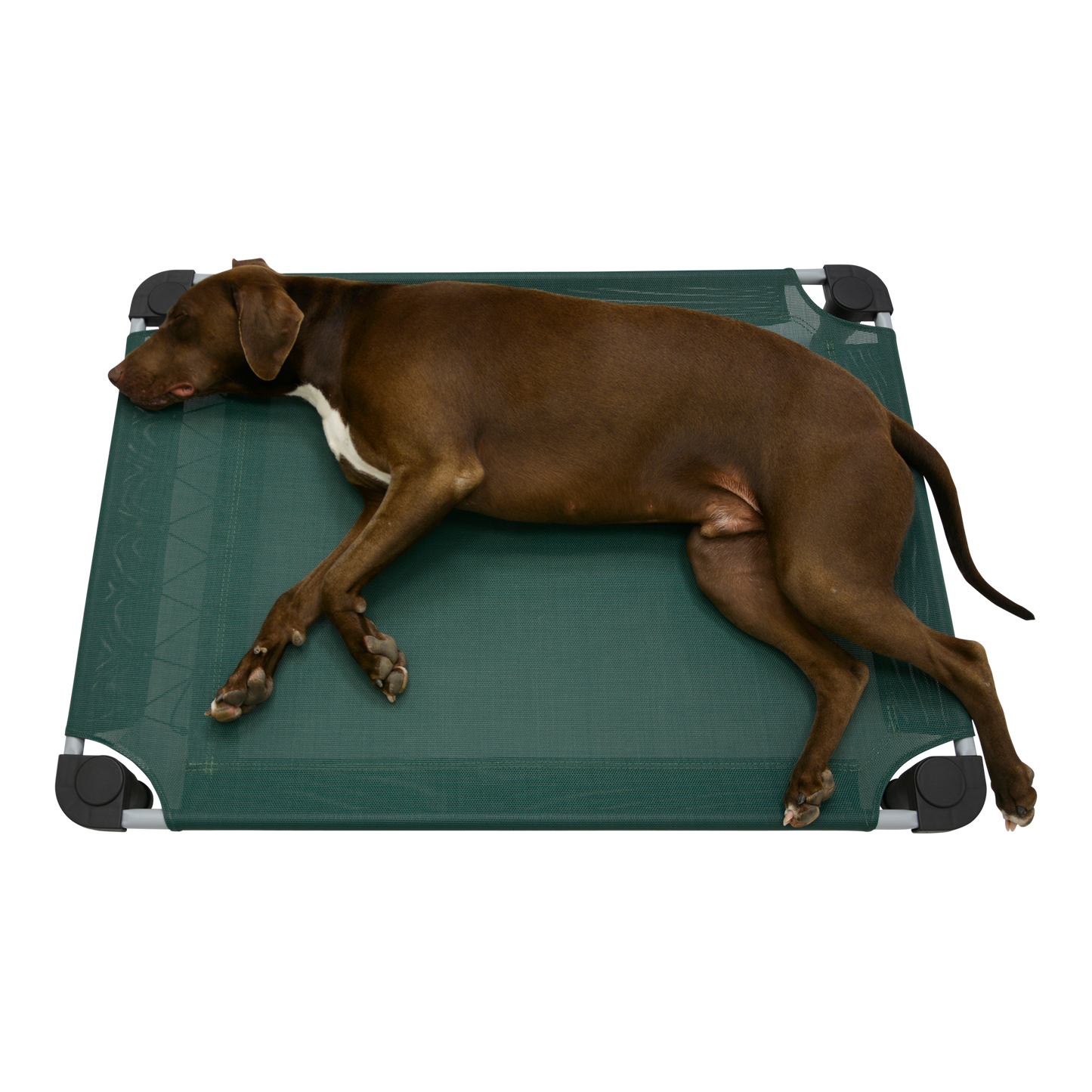 4Legs4Pets 40" X 30"Customized Dog Cot