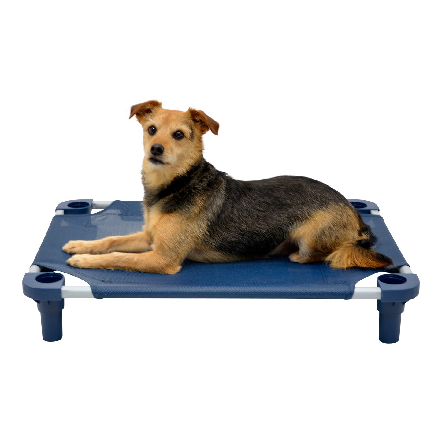 4Legs4Pets 30” x 22”Customized Dog Cot