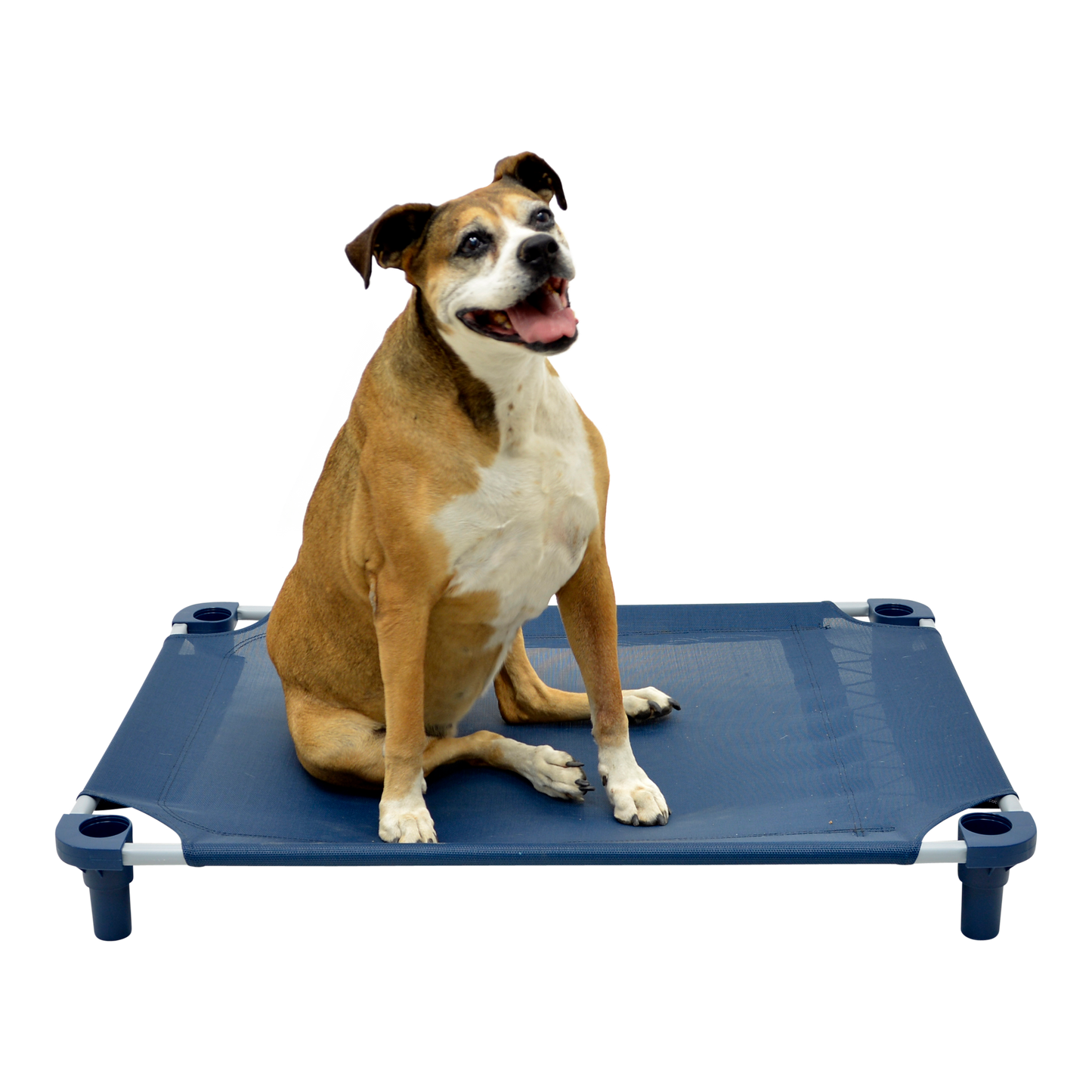 4Legs4Pets 40" X 30"Customized Dog Cot