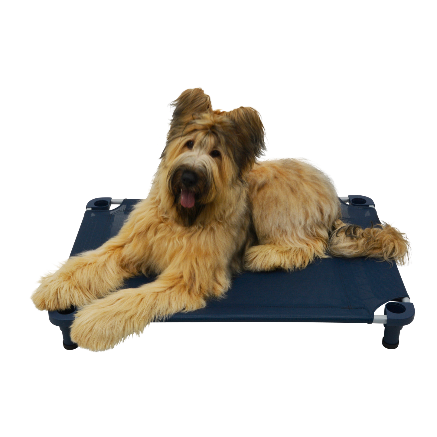 4Legs4Pets 40" X 30"Customized Dog Cot