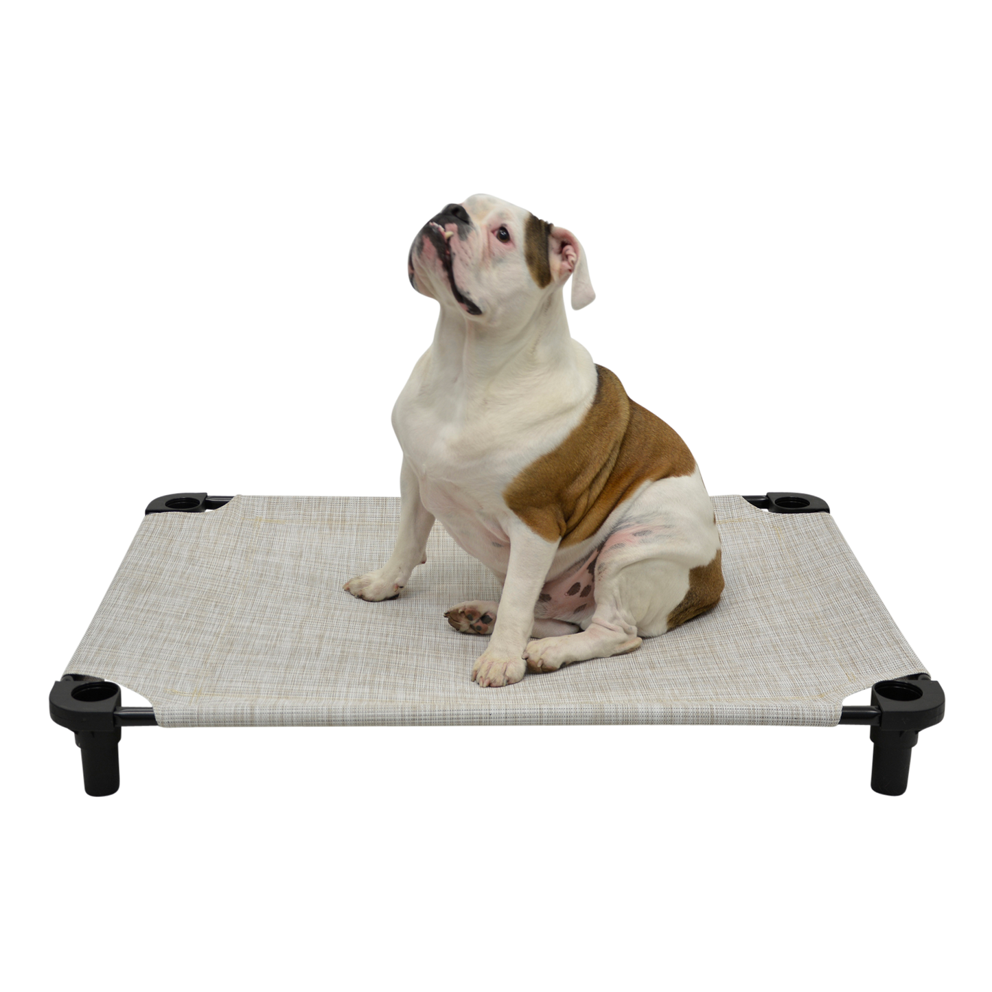 4Legs4Pets 40" X 30"Customized Dog Cot