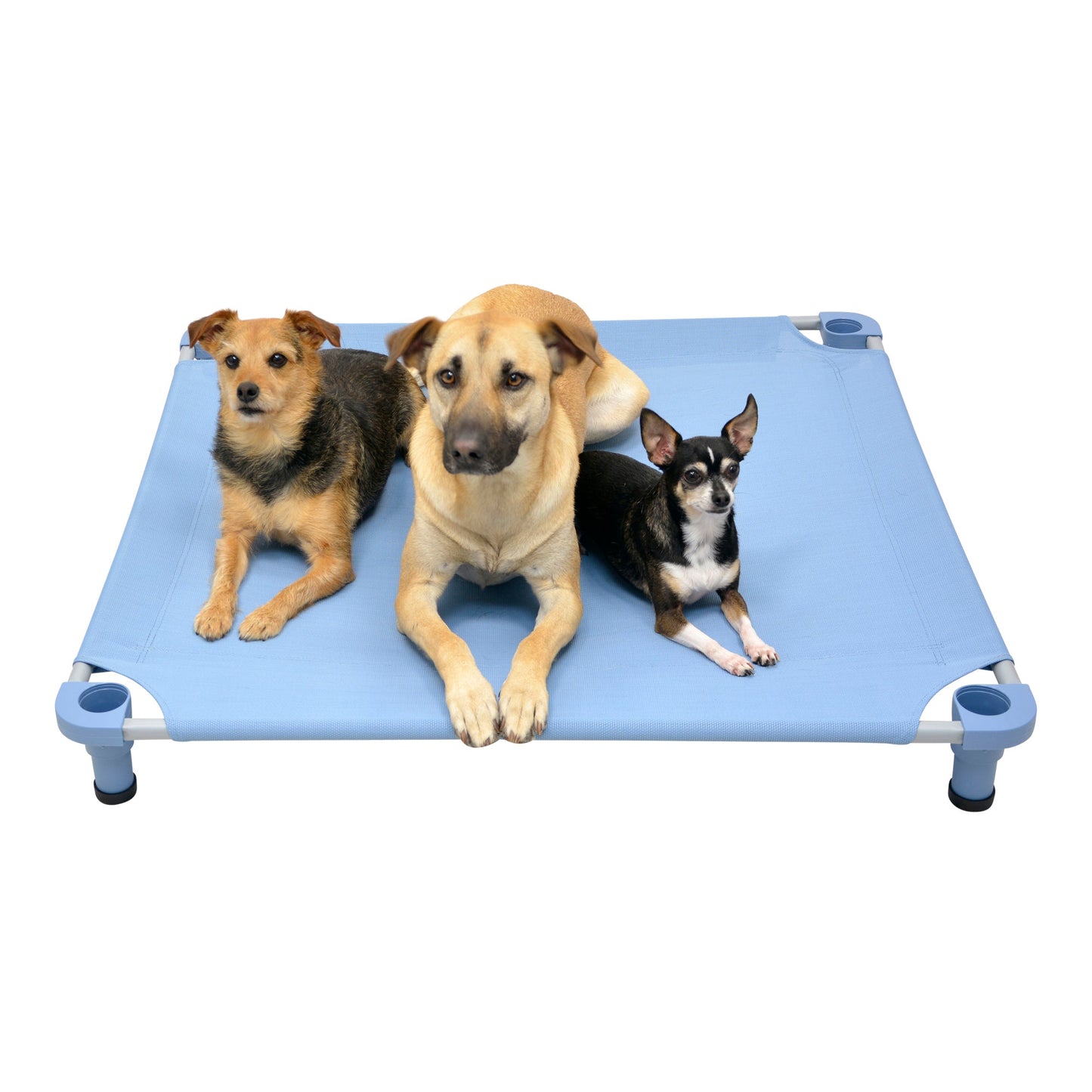 4Legs4Pets 40" X 40" Customized Dog Cot