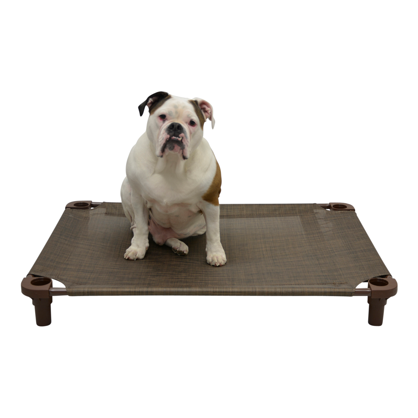 4Legs4Pets 40" X 30"Customized Dog Cot