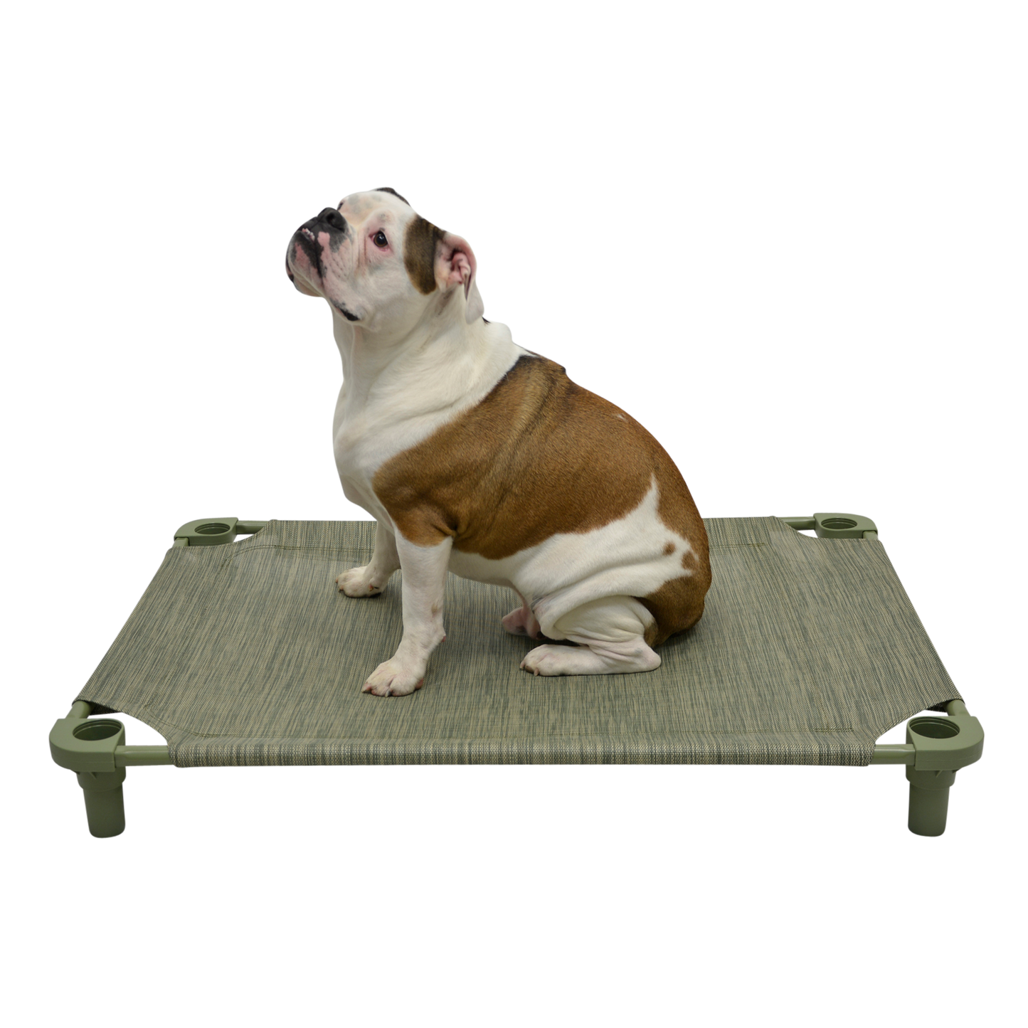 4Legs4Pets 40" X 30"Customized Dog Cot