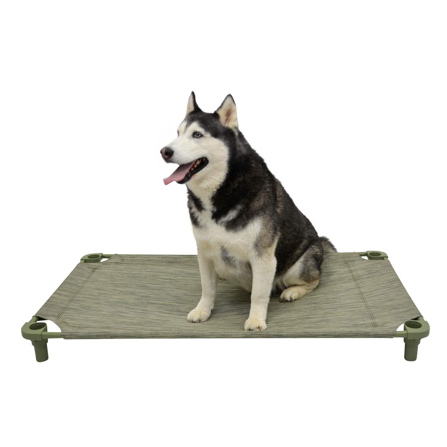 4Legs4Pets 52" X 30"Customized Dog Cot