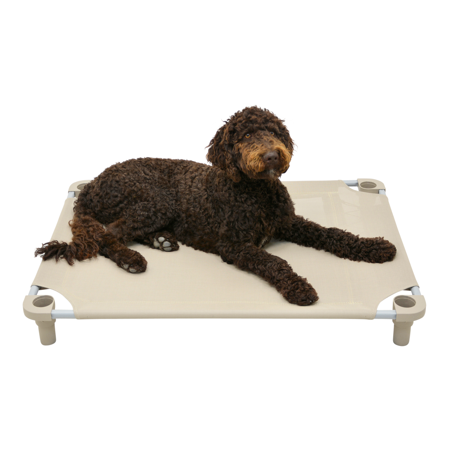 4Legs4Pets 40" X 30"Customized Dog Cot
