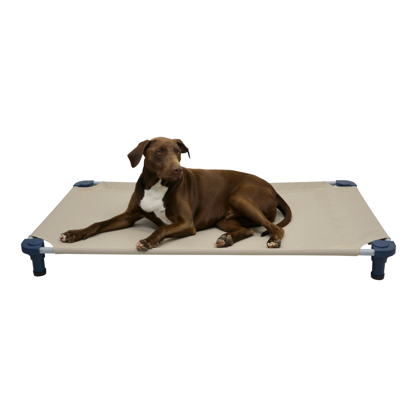 4Legs4Pets 52" X 30"Customized Dog Cot