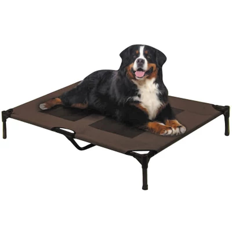 "Solartec Rectangular Pet Cot for Indoor and Outdoor Use - Available in Multiple Sizes and Colors"