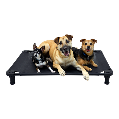 4Legs4Pets 40" X 30"Customized Dog Cot