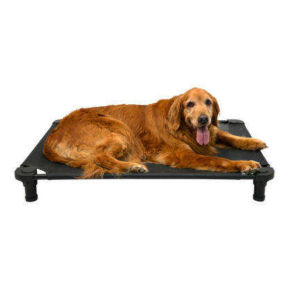 4Legs4Pets 40" X 30"Customized Dog Cot