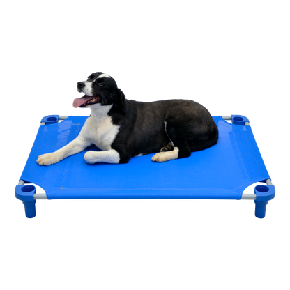 4Legs4Pets 40" X 30"Customized Dog Cot