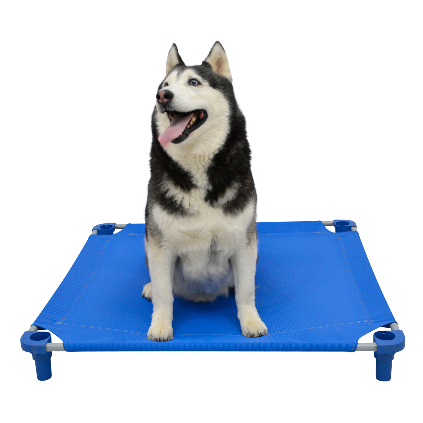 4Legs4Pets 40" X 40" Customized Dog Cot