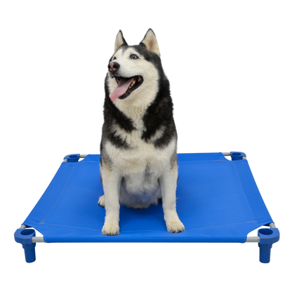 4Legs4Pets 40" X 40" Customized Dog Cot 4Legs4Pets