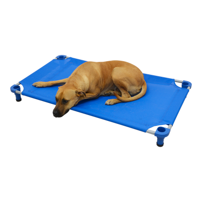 4Legs4Pets 52" X 30"Customized Dog Cot