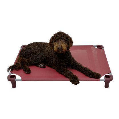 4Legs4Pets 40" X 30"Customized Dog Cot