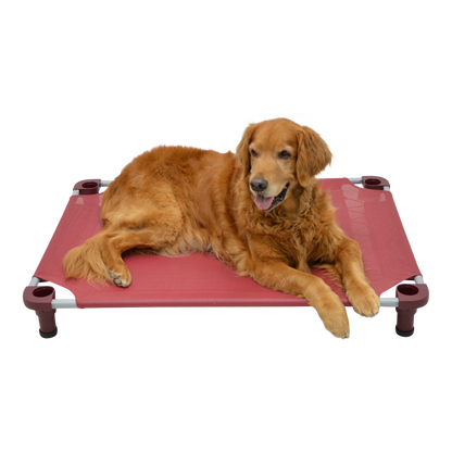 4Legs4Pets 40" X 30"Customized Dog Cot