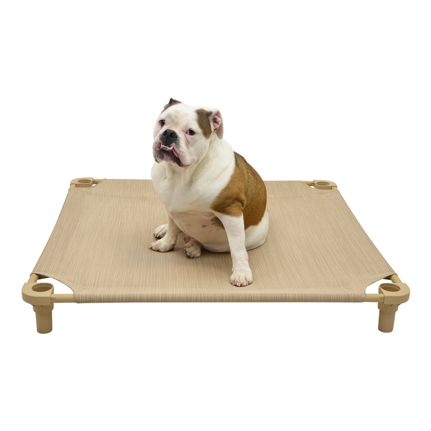 4Legs4Pets 40" X 40" Customized Dog Cot