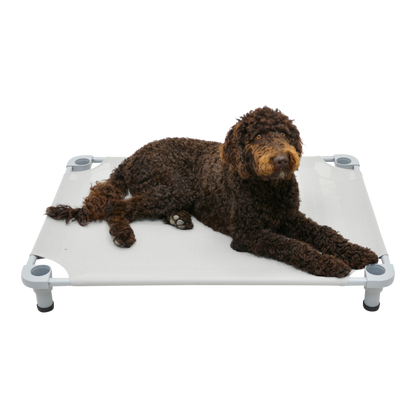 4Legs4Pets 40" X 30"Customized Dog Cot