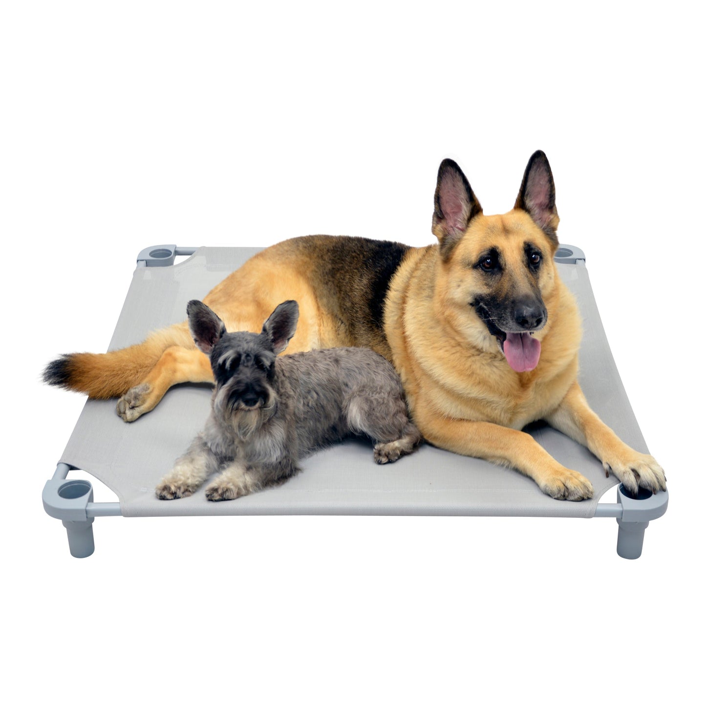 4Legs4Pets 40" X 40" Customized Dog Cot