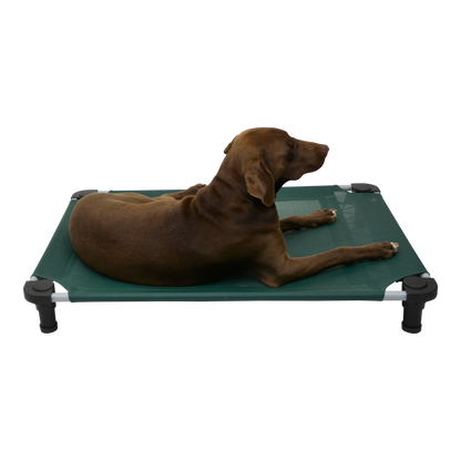 4Legs4Pets 40" X 30"Customized Dog Cot
