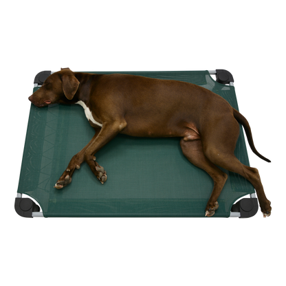 4Legs4Pets 40" X 30"Customized Dog Cot