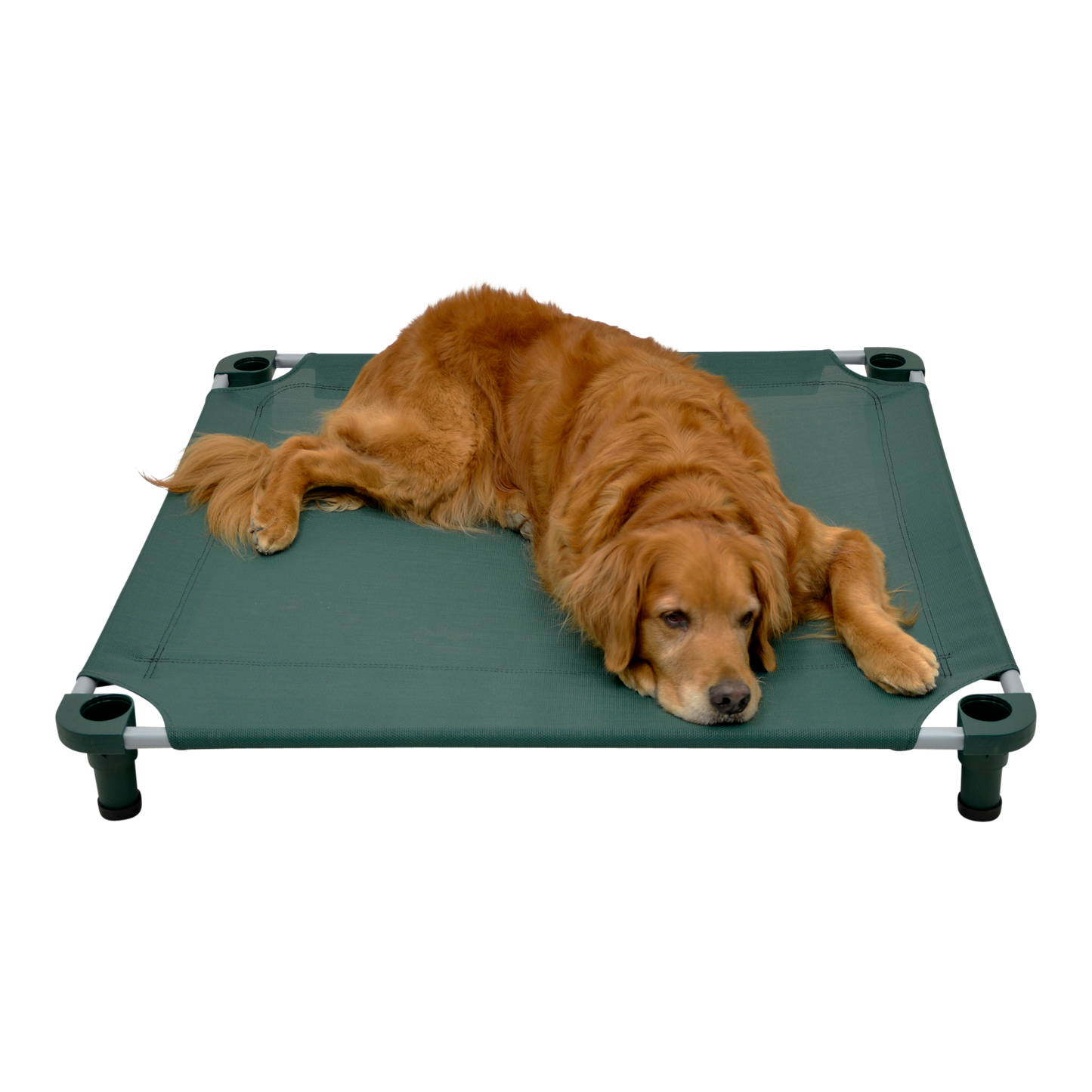 4Legs4Pets 40" X 40" Customized Dog Cot