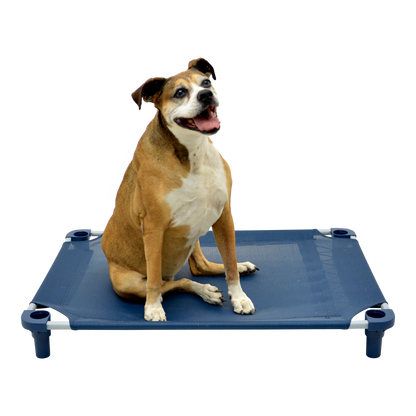 4Legs4Pets 40" X 30"Customized Dog Cot