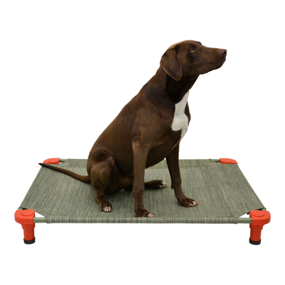 4Legs4Pets 40" X 30"Customized Dog Cot