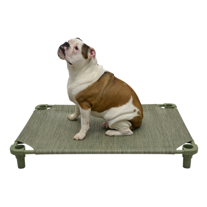 4Legs4Pets 40" X 30"Customized Dog Cot