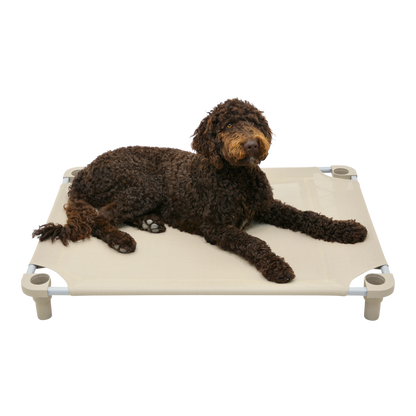 4Legs4Pets 40" X 30"Customized Dog Cot